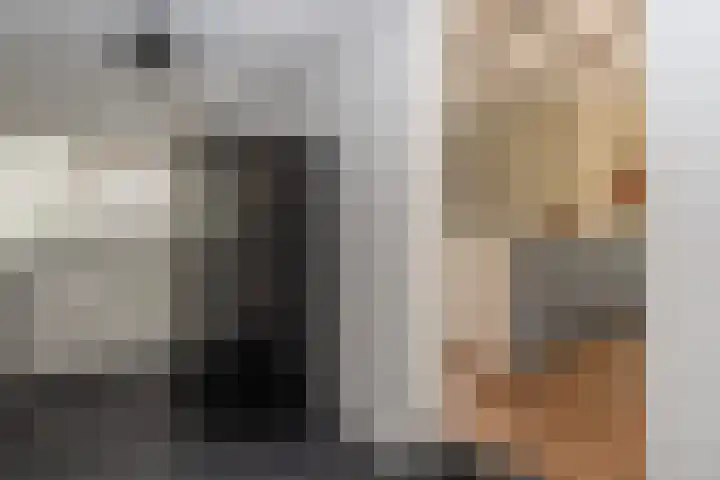 Bonnerveen 4 Gieterveen thumbnail 23