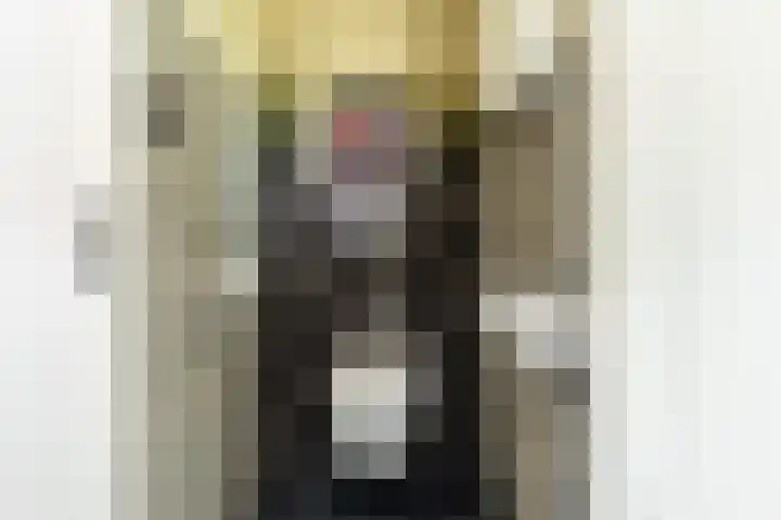 Bonnerveen 4 Gieterveen thumbnail 24