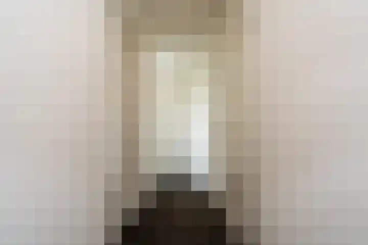 Bonnerveen 4 Gieterveen thumbnail 26