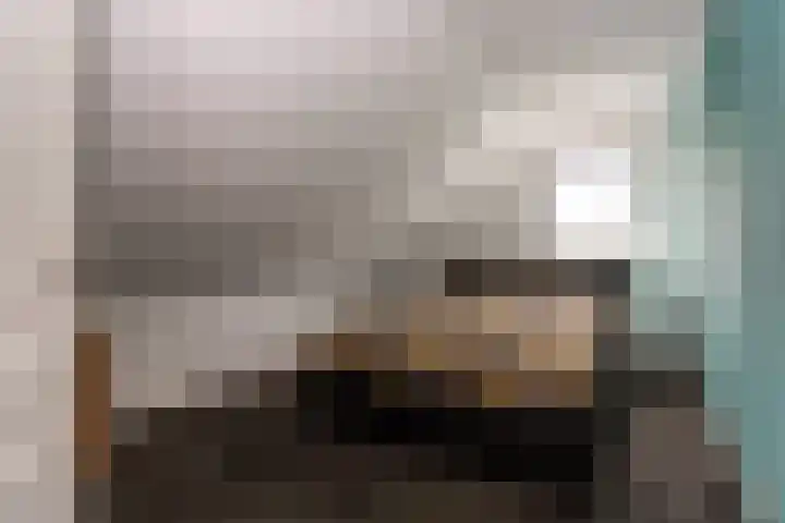 Bonnerveen 4 Gieterveen thumbnail 27