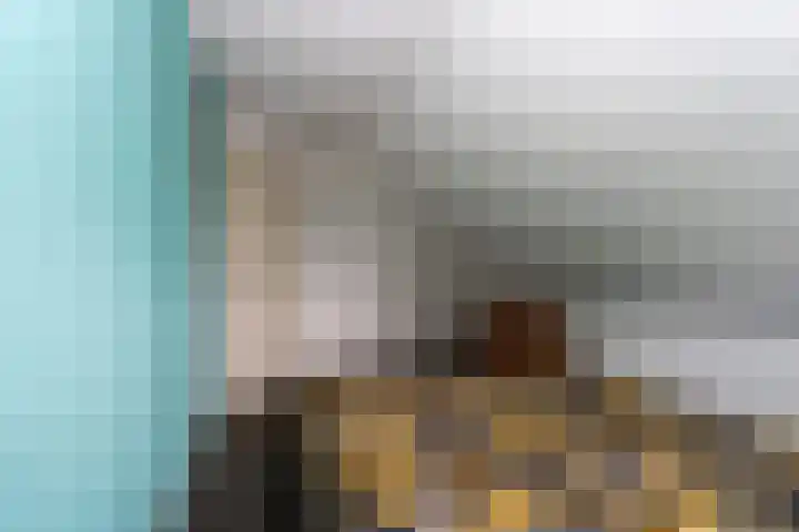 Bonnerveen 4 Gieterveen thumbnail 28