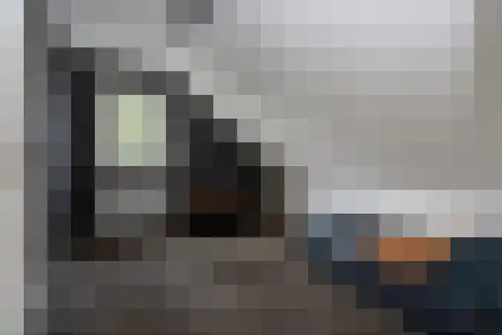 Bonnerveen 4 Gieterveen thumbnail 29