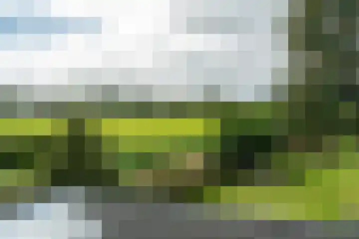 Bonnerveen 4 Gieterveen thumbnail 31