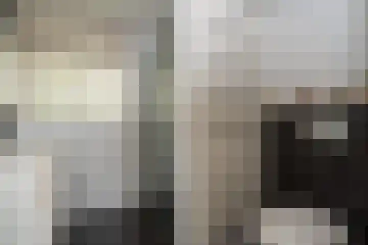 Bonnerveen 4 Gieterveen thumbnail 32
