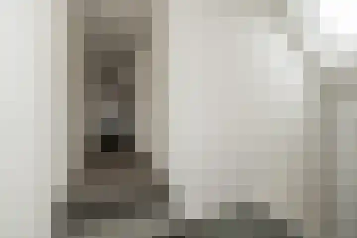 Bonnerveen 4 Gieterveen thumbnail 33