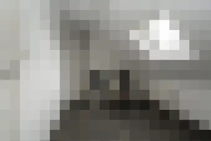 Bonnerveen 4 Gieterveen thumbnail 34