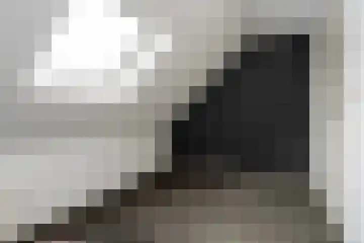 Bonnerveen 4 Gieterveen thumbnail 35