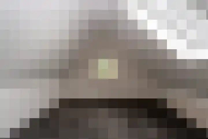 Bonnerveen 4 Gieterveen thumbnail 36