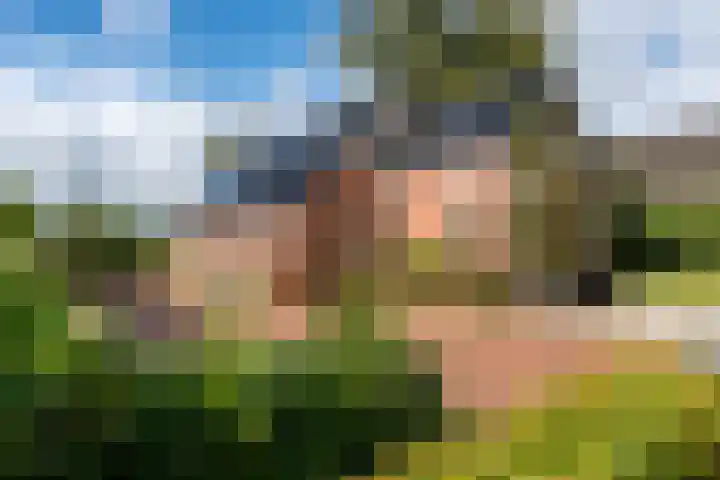 Bonnerveen 4 Gieterveen thumbnail 38