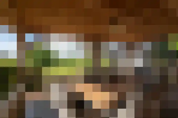 Bonnerveen 4 Gieterveen thumbnail 39