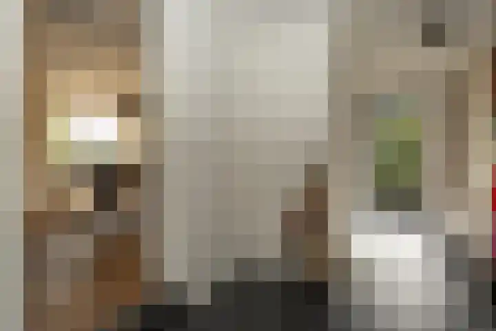 Bonnerveen 4 Gieterveen thumbnail 4