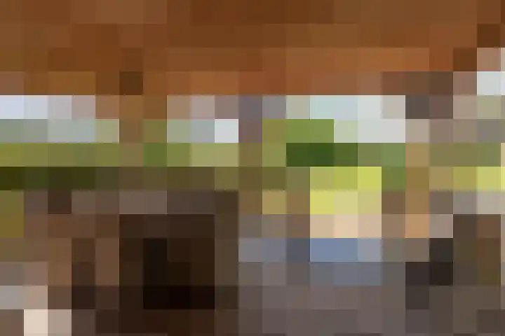 Bonnerveen 4 Gieterveen thumbnail 40