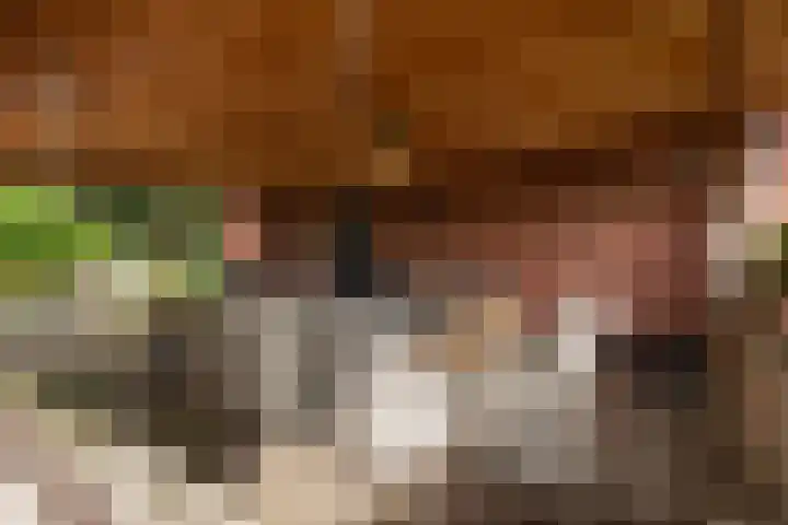 Bonnerveen 4 Gieterveen thumbnail 41