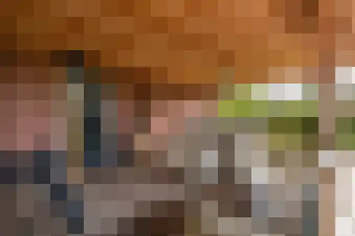 Bonnerveen 4 Gieterveen thumbnail 42