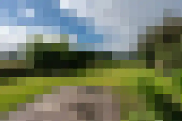 Bonnerveen 4 Gieterveen thumbnail 43