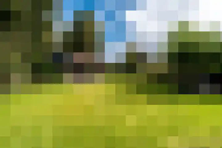 Bonnerveen 4 Gieterveen thumbnail 44