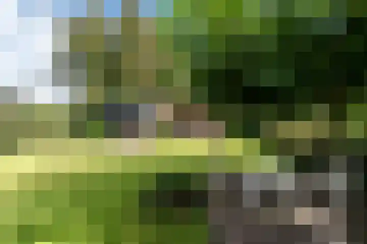 Bonnerveen 4 Gieterveen thumbnail 45