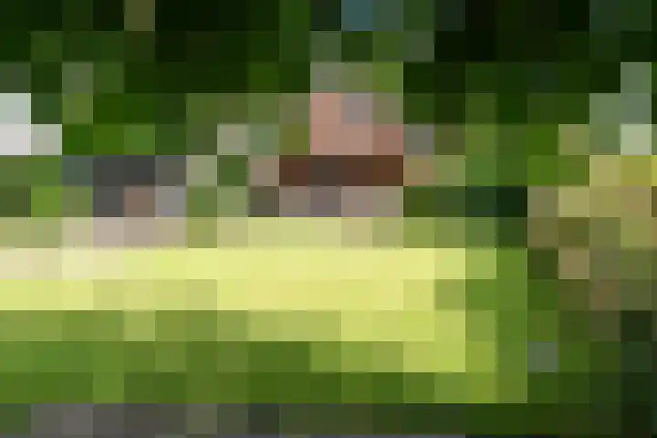Bonnerveen 4 Gieterveen thumbnail 46