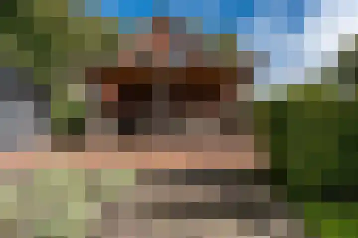 Bonnerveen 4 Gieterveen thumbnail 47