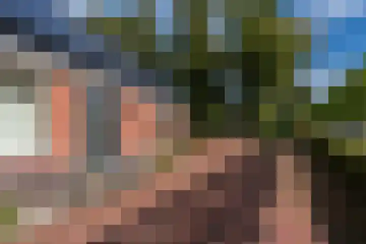 Bonnerveen 4 Gieterveen thumbnail 48