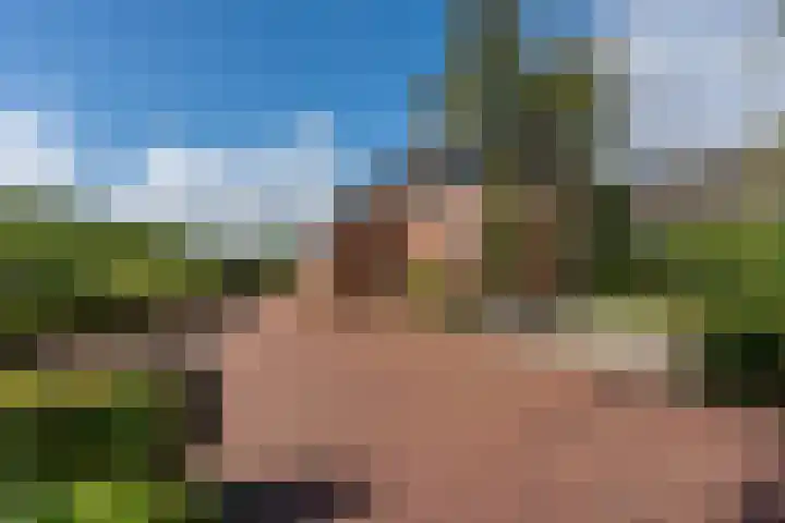 Bonnerveen 4 Gieterveen thumbnail 49