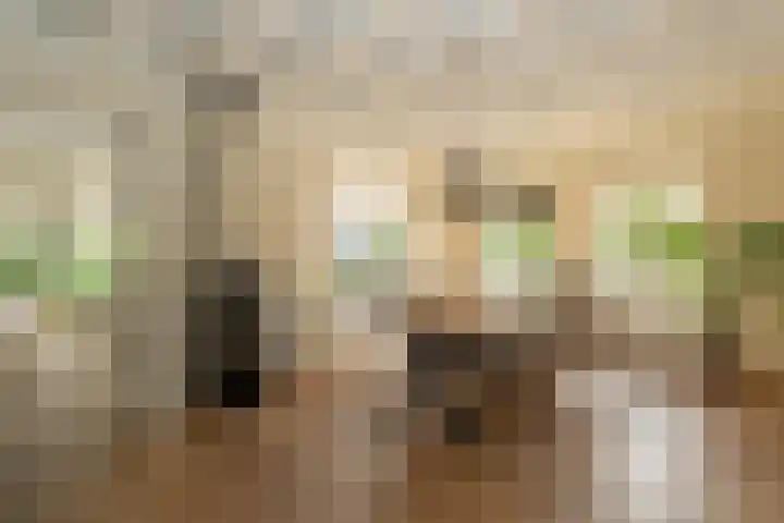 Bonnerveen 4 Gieterveen thumbnail 5