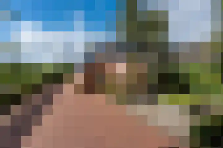 Bonnerveen 4 Gieterveen thumbnail 50