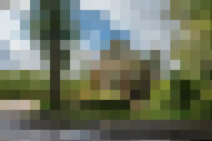 Bonnerveen 4 Gieterveen thumbnail 51