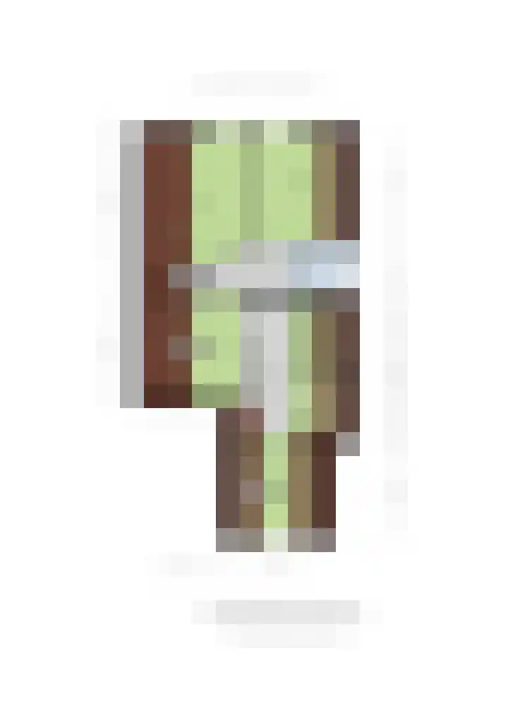 Bonnerveen 4 Gieterveen thumbnail 53