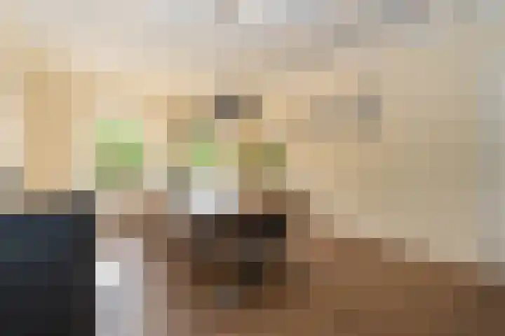 Bonnerveen 4 Gieterveen thumbnail 6