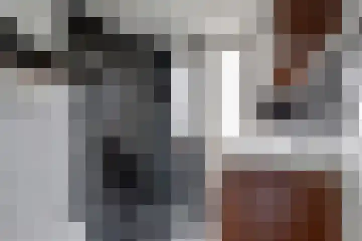 Bonnetpad 16 Spijkenisse thumbnail 11