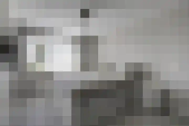 Bonnetpad 16 Spijkenisse thumbnail 14