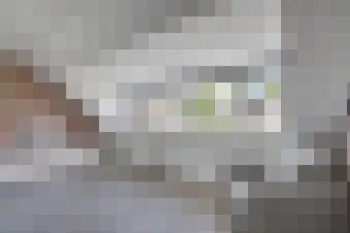 Bonnetpad 16 Spijkenisse thumbnail 15