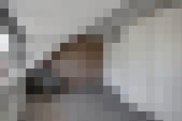 Bonnetpad 16 Spijkenisse thumbnail 16