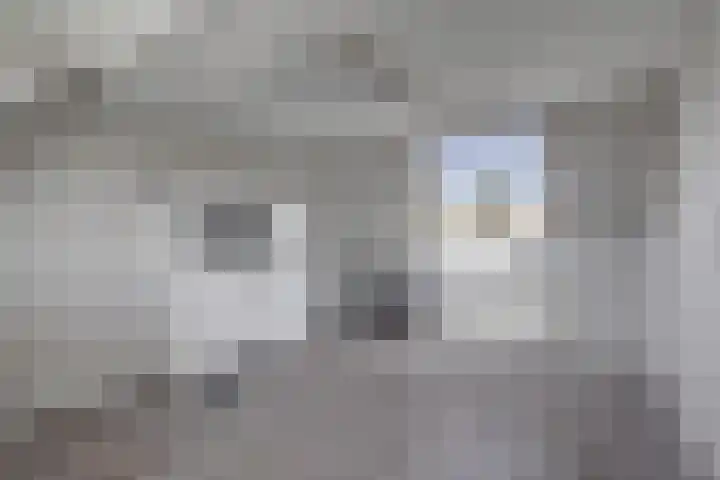 Bonnetpad 16 Spijkenisse thumbnail 18