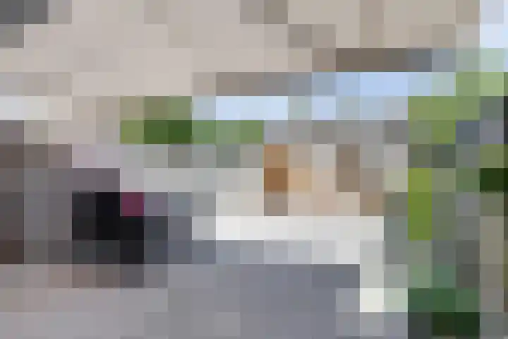 Bonnetpad 16 Spijkenisse thumbnail 20