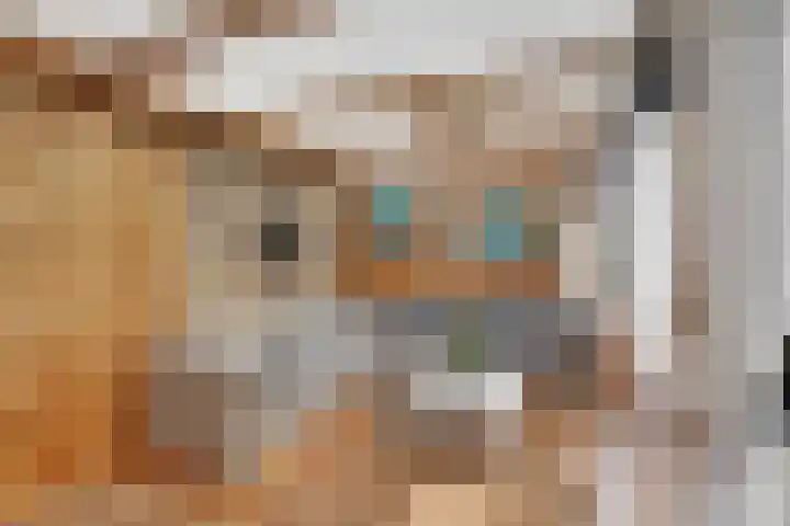Bonnetpad 16 Spijkenisse thumbnail 21