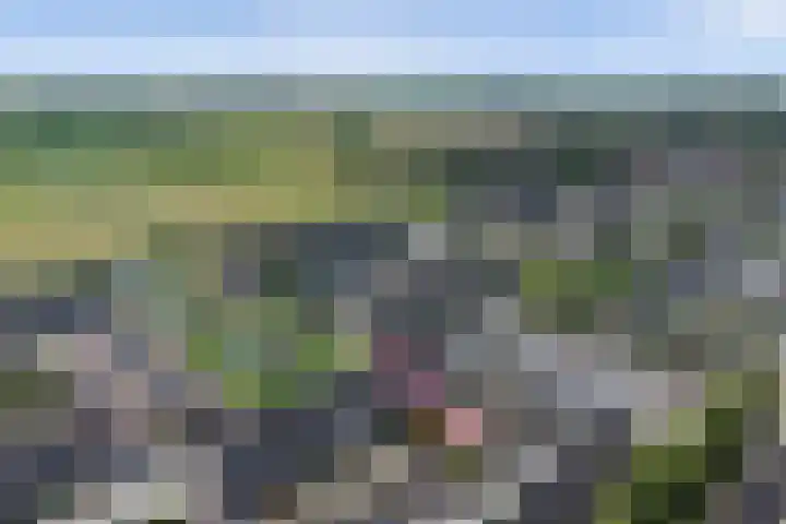 Bonnetpad 16 Spijkenisse thumbnail 22
