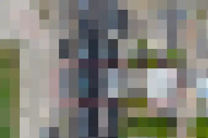 Bonnetpad 16 Spijkenisse thumbnail 23