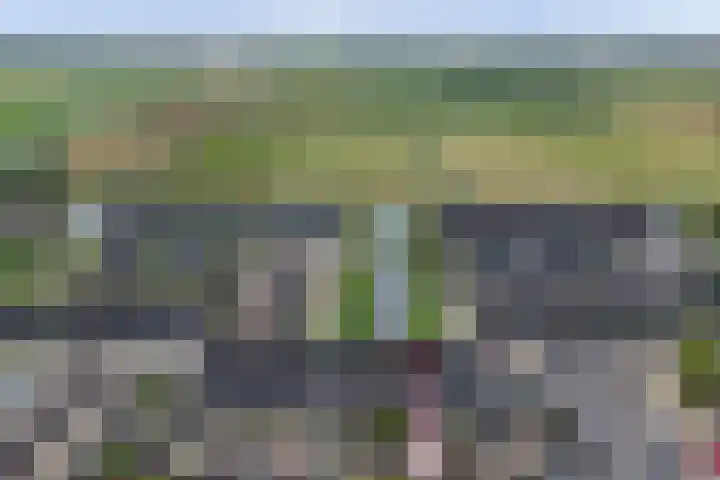 Bonnetpad 16 Spijkenisse thumbnail 24