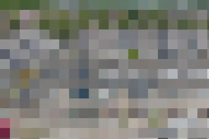 Bonnetpad 16 Spijkenisse thumbnail 25
