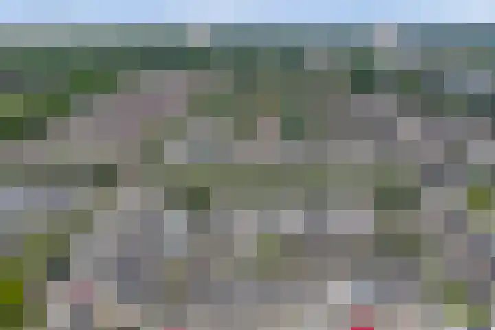 Bonnetpad 16 Spijkenisse thumbnail 26