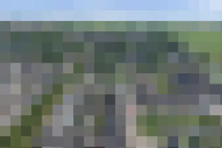 Bonnetpad 16 Spijkenisse thumbnail 27