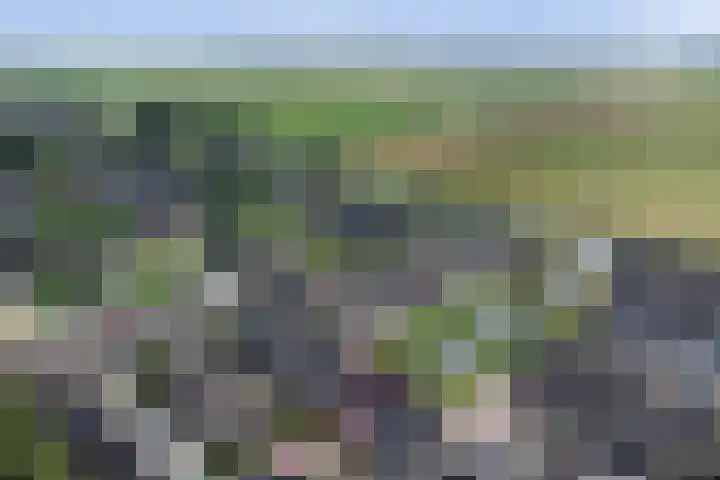 Bonnetpad 16 Spijkenisse thumbnail 28