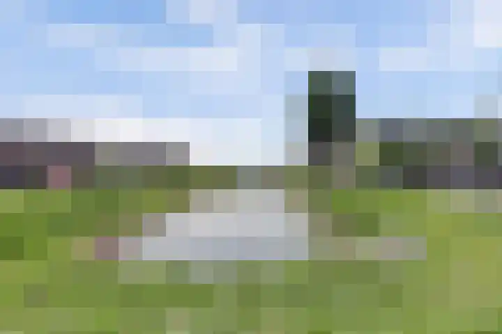 Bonnetpad 16 Spijkenisse thumbnail 4