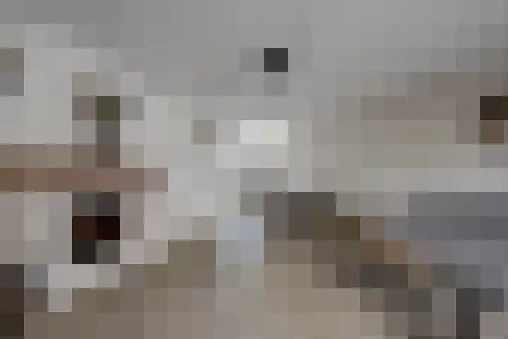 Bonnetpad 16 Spijkenisse thumbnail 6