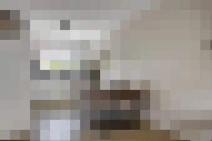 Bonnetpad 16 Spijkenisse thumbnail 7