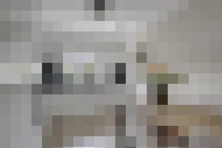 Bonnetpad 16 Spijkenisse thumbnail 9