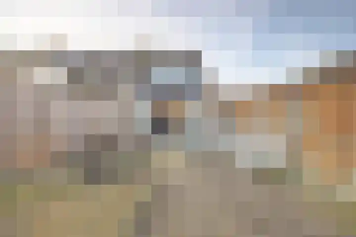 Bonnetpad 20 Spijkenisse thumbnail 17