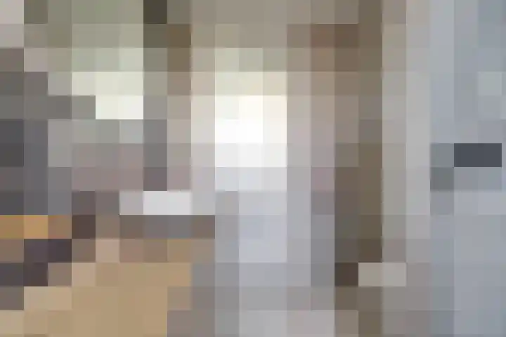 Bonnetpad 20 Spijkenisse thumbnail 24
